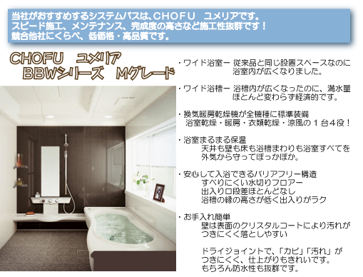 ���{�������A�a�a�v�V���[�Y